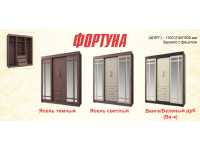 Шкаф купе "Фортуна" в Луганске, ЛНР